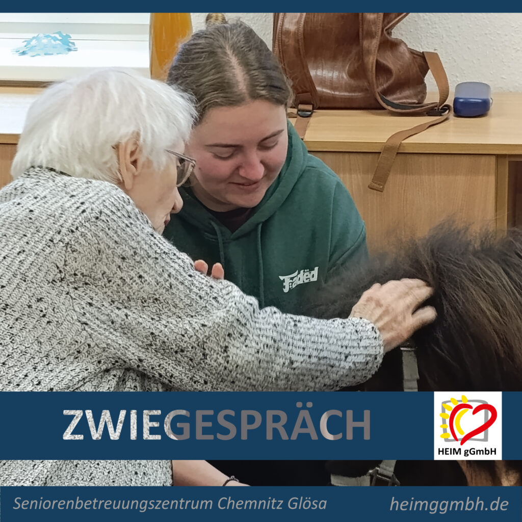 Ponybesuch - Kleine Hufe, große Freude