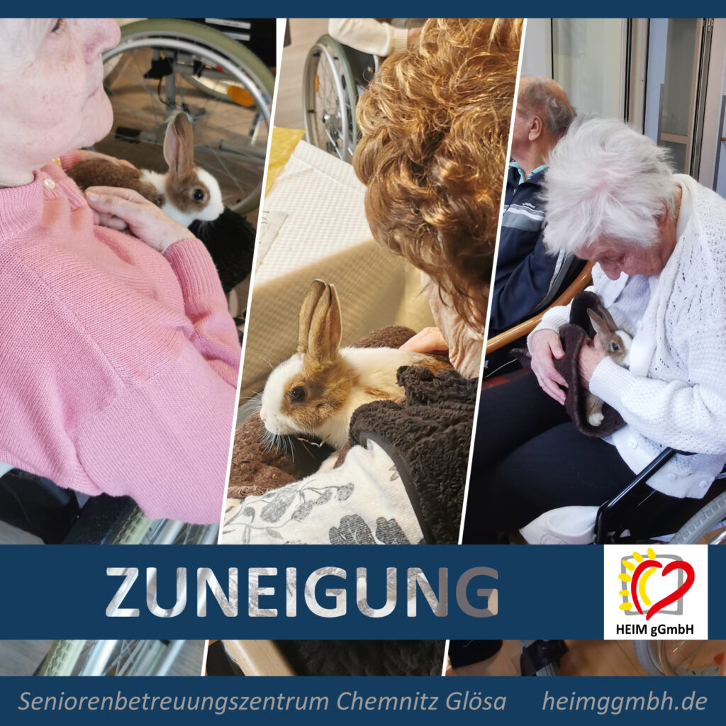 Streichelstunde im Seniorenbetreuungszentrum Glösa