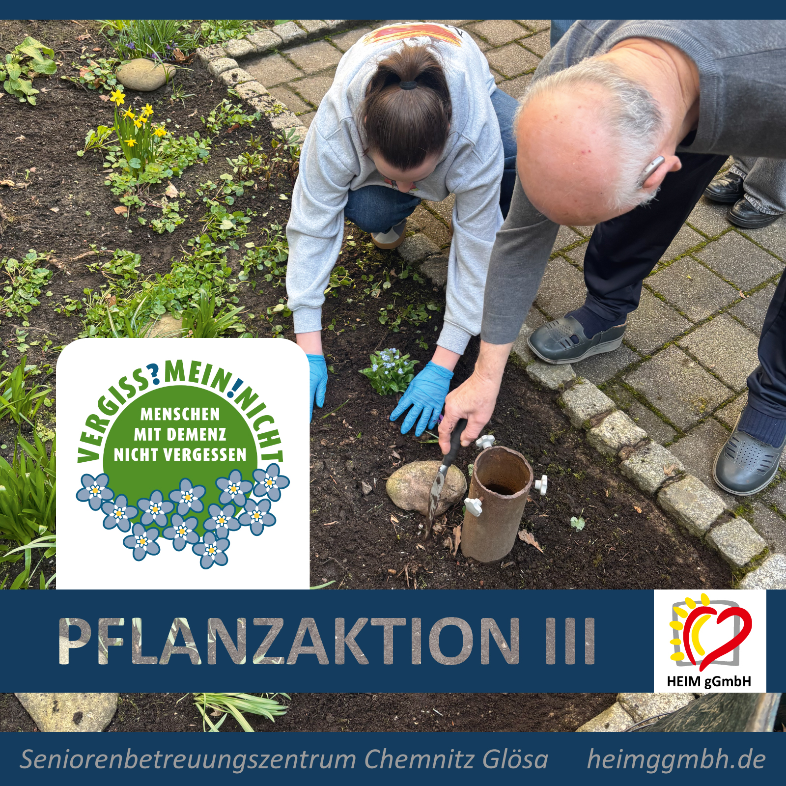 Rückblick Pflanzaktion VERGISS!MEIN!NICHT III – Seniorenbetreuungszentrum Glösa der HEIM gGmbH in Chemnitz