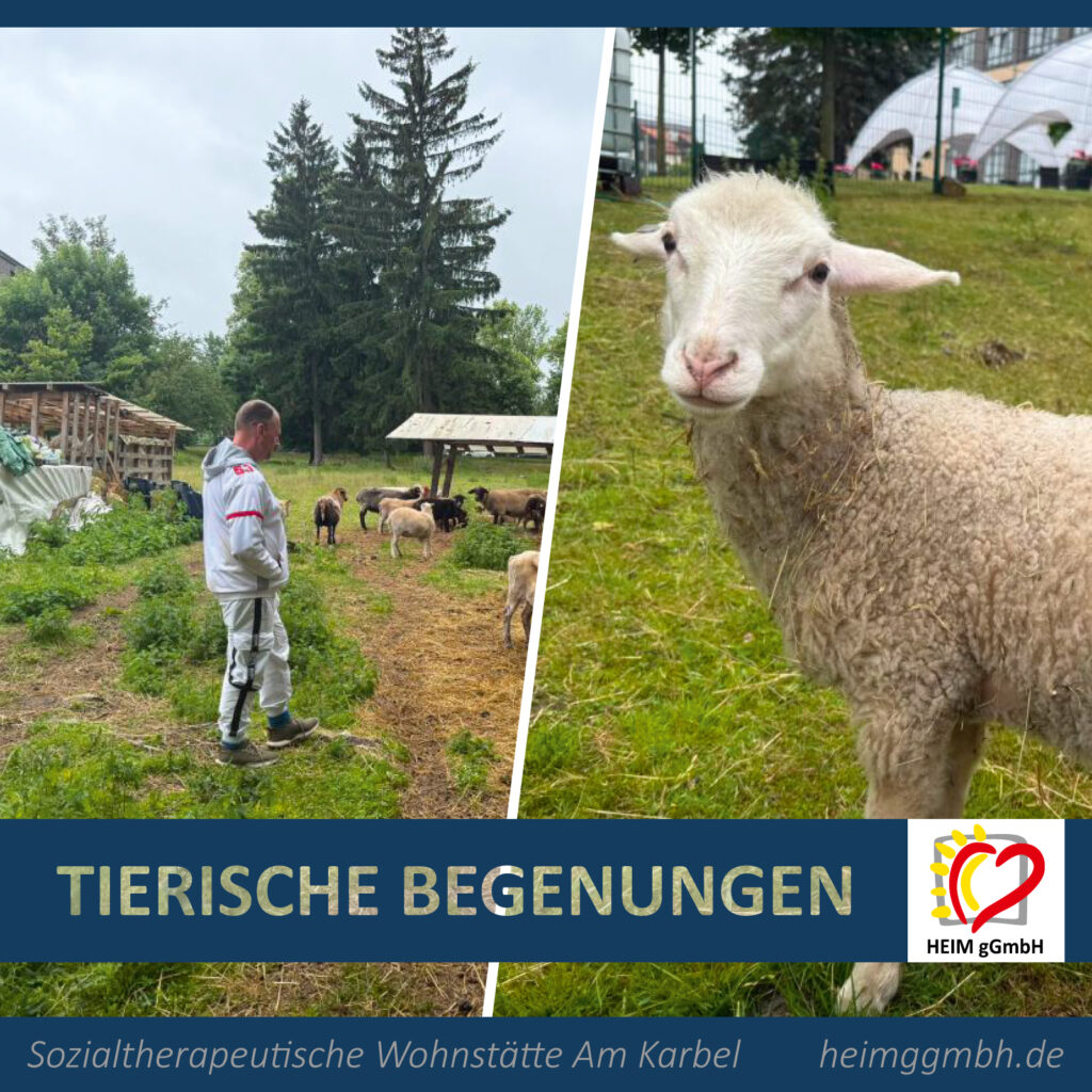 Ein Tag voller tierischer Begegnungen
